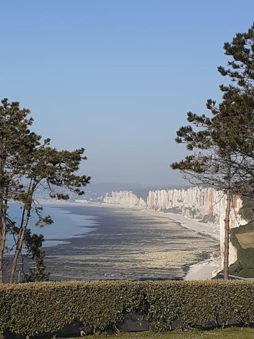 Yport, Maison De Pecheur Avec Jolie Terrasse. Luaran gambar